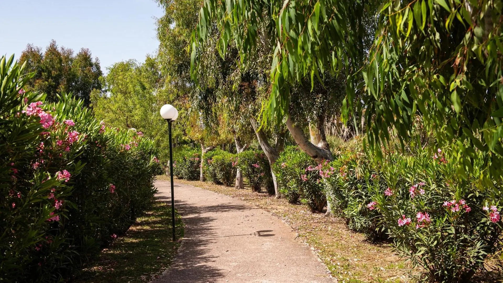 ***** Resort Alexandros Palace Ouranoupoli Griekenland